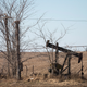 An idled pump jack, once used to extract crude oil from the ground, sits rusting above a well in a farmers field near Ridgway, Illinois.
